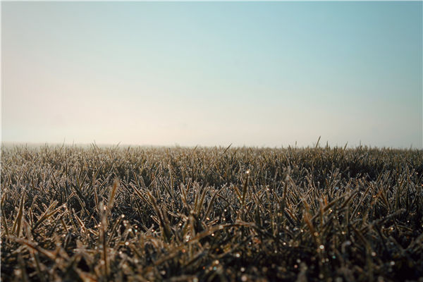 土壤養(yǎng)分檢測(cè)儀器 土壤養(yǎng)分檢測(cè)儀器