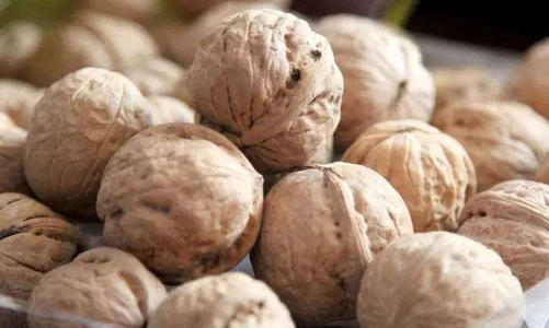 土壤肥料養(yǎng)分速測(cè)儀